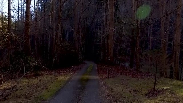 Low Drone through creepy woods