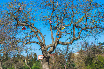 Fototapeta na wymiar Trees with colorful bird house