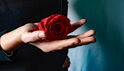 Woman's Hand With Rose