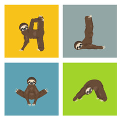 Sloth yoga collection. Funny cartoon animals in different postures set