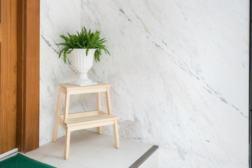 White classic vase for plant on clean wooden stair step stool in front of the house with door and...