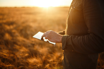 Amazing photo of Farmer. Checking Wheat Field Progress, Holding Tablet Using Internet. Close Up...