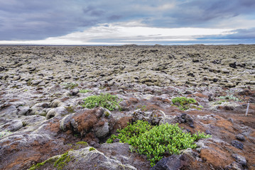 Skaftareldahraun lava fields in Iceland