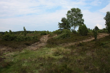 lüneburger heide
