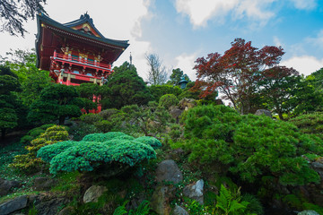 Japanese garden in San Francisco
