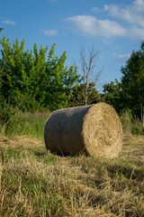 Stroh
