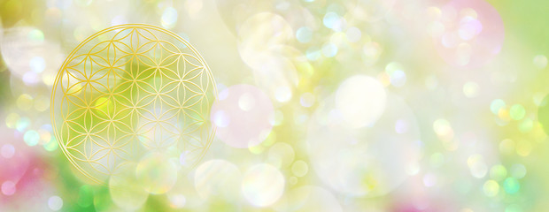 Banner / Hintergrund Blume des Lebens in zartem Frühlingslicht