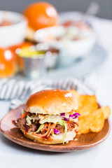BBQ pulled pork sandwich