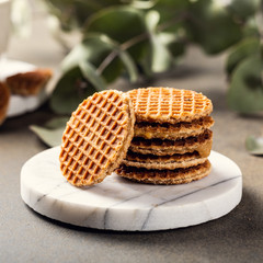 Mini stroopwafel, syrupwaffles cookies with cup of tea and eucalyptus twigs on light background