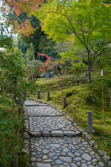 Japanese garden walkway for tourist to peacefully sightseeing