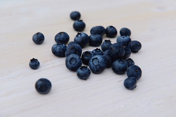 fresh blueberries on white background