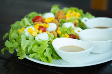 Fresh salad with green oak lettuce food organic vegetable