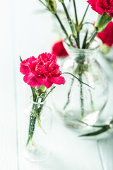Bouquet of pink carnation in glass vase on light turquoise wooden background. Mothers day, birthday greeting card. Copy space.
