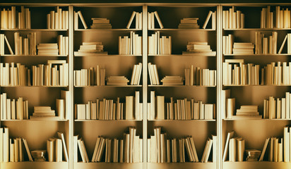 Library, Bookshelves at the library, full of blank books.