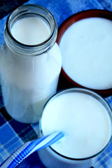 Kefir. Fermented dairy products. Probiotics. White fermented products.