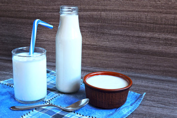 Kefir. Fermented dairy products. Probiotics. White fermented products.
