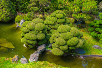 Japanese Garden in San Francisco, Tourist Attraction