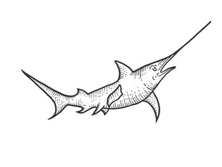 Swordfish sketch engraving vector illustration. Scratch board style imitation. Hand drawn image.