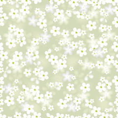 white flower. vector seamless background with chamomile