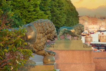 Old lions sculpture on the St. Petersburg