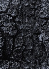 wood and brick background texture