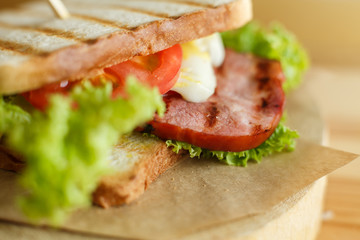 Closeup juicy sandwich with bacon, fresh vegetables, green salad and dark lines after grill