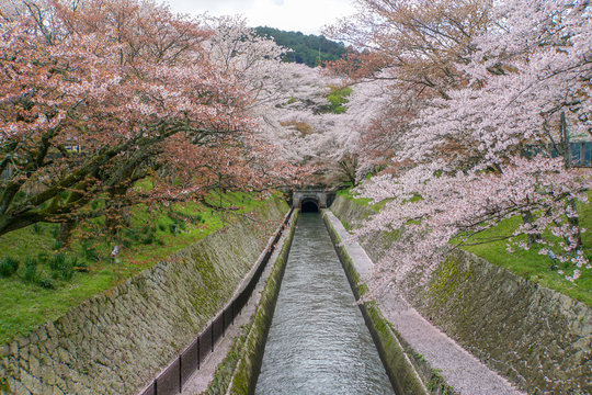 琵琶湖疏水