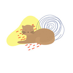 Vector cat and geometric elements