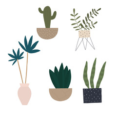 Vector set of home plants in pot