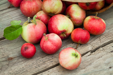 red Apples in pottle on wooden background