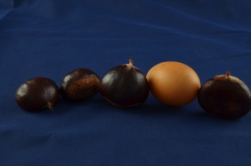 Fresh chestnuts with blu background