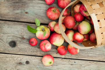 red Apples in pottle on wooden background