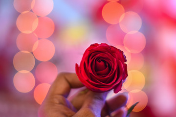 man holding a red rose which is the symbol of love in bokeh backgro