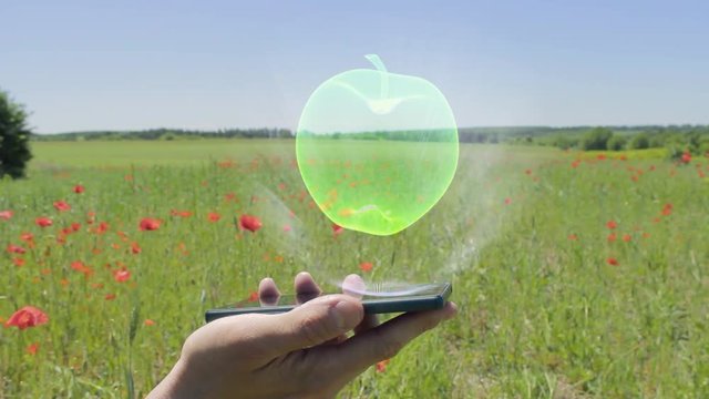 Hologram of apple on a smartphone. Person activates holographic image on the phone screen on the field with blooming poppies