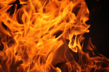 Fire flame texture background.
