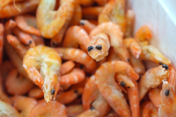 Cheerful happy big-eyed frozen shrimp on the background of a pile of red shrimp. Shrimp in ice in the fridge. Concept of the correct and tasty choice of sea food for the family