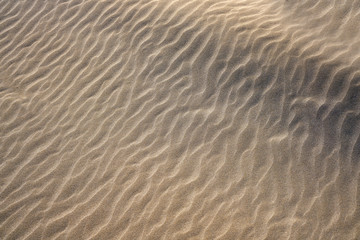 Fototapeta na wymiar Dunes beach sand texture in Costa Dorada
