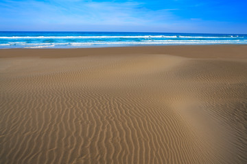 Fototapeta na wymiar Delta del Ebro beach Punta del Fangar