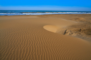 Delta del Ebro beach Punta del Fangar