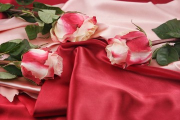 Pink roses lie on crimson and pink satin, background