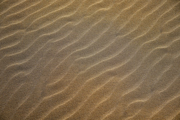 Dunes beach sand texture in Costa Dorada