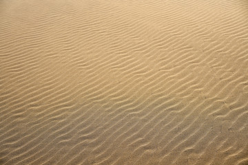 Fototapeta na wymiar Dunes beach sand texture in Costa Dorada