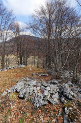 Frühlings-Landschaft im Naturreservat Bijele und Samarske Stijene (Velika Kapela), Kroatien
