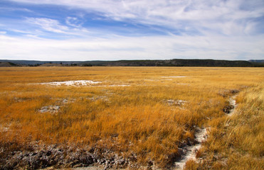 Fototapeta premium Meadow in Yellowstone national park