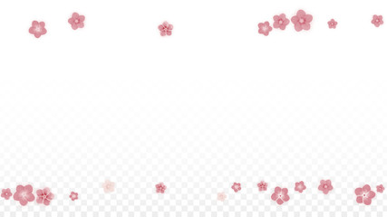 Vector Realistic Pink Flowers Falling on Transparent Background.  Spring Romantic Flowers Illustration. Flying Petals. Sakura Spa Design. Blossom Confetti. Design Elements for Wedding Decoration.