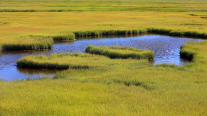 Fresh water stream through meadow