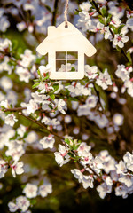    The symbol of the house in the branches with white flowers 