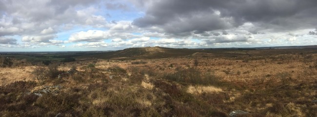 dans les monts d'Arrées au parc d'Armorique en Bretagne Cornouailles Finistère