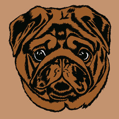 Decorative portrait of pug