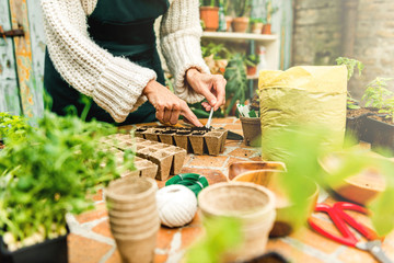 Planting seeds